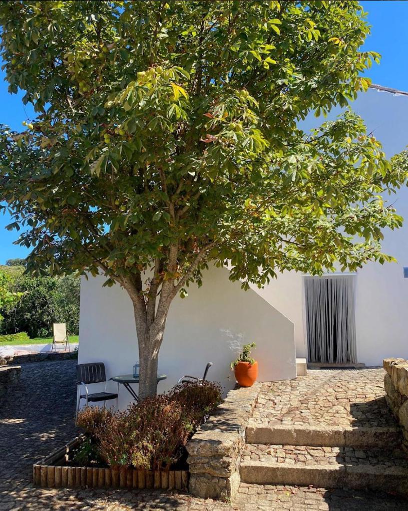 Quinta D'Abegoa Villa Marvao  Exterior photo