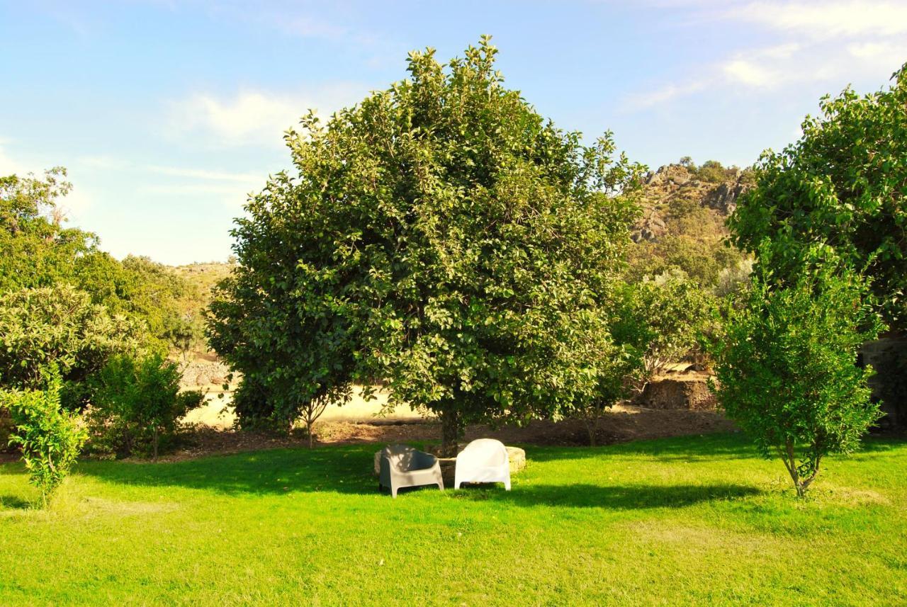 Quinta D'Abegoa Villa Marvao  Exterior photo